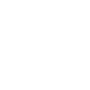 Icon 11