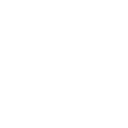 Icon 12