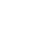 Icon 13