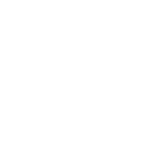 Icon 14