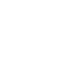 Icon 15