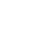 Icon 16