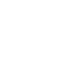 Icon 18