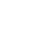 Icon 20