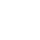 Icon 21