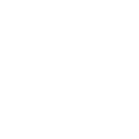 Icon 25