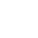 Icon 8